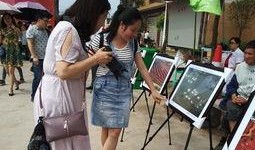 寿光 吃瓜 群众事件,一场群众自发的网络狂欢