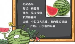 吃瓜引出的历史,吃瓜群众视角下的历史风云录