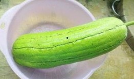 水瓜可以怎么吃