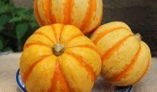 小桔瓜怎么吃,轻松解锁美味新体验