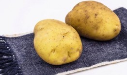 茭瓜土豆可以混吃吗,营养互补的美食探索