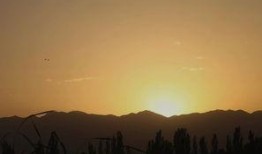 落日吃瓜,瓜果飘香话人生