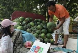 济宁卫校吃瓜,一场校园“吃瓜”事件的背后真相