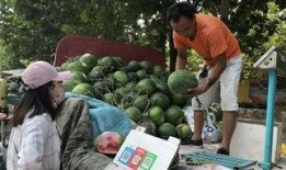 济宁卫校吃瓜,一场校园“吃瓜”事件的背后真相