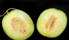 吃白玉瓜嗓子毛,嗓子毛生长之谜探究