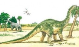 带你吃瓜奇葩恐龙,揭秘“带你吃瓜奇葩恐龙”的神秘面纱