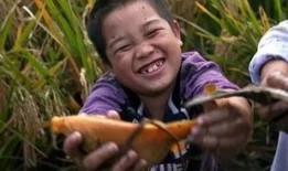 落日吃瓜,瓜果飘香话人生