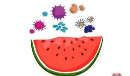 我们吃瓜啦原版,一场全民参与的娱乐盛宴