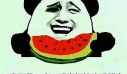 我们吃瓜啦原版,一场全民参与的娱乐盛宴