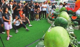 吃瓜的游客,游客眼中的夏日狂欢盛宴