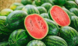 唐庄吃瓜视频,揭秘娱乐圈幕后风云