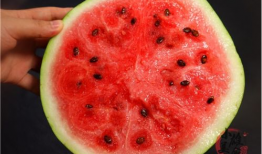 吃瓜不吃瓜有啥用处吗,揭秘网络热议背后的实用价值