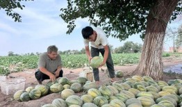 三千院吃瓜,揭秘校园风云背后的真相