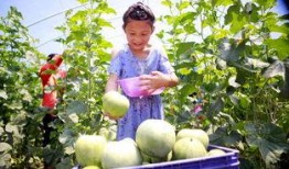 吃瓜的小店,品味人间烟火，畅享休闲时光